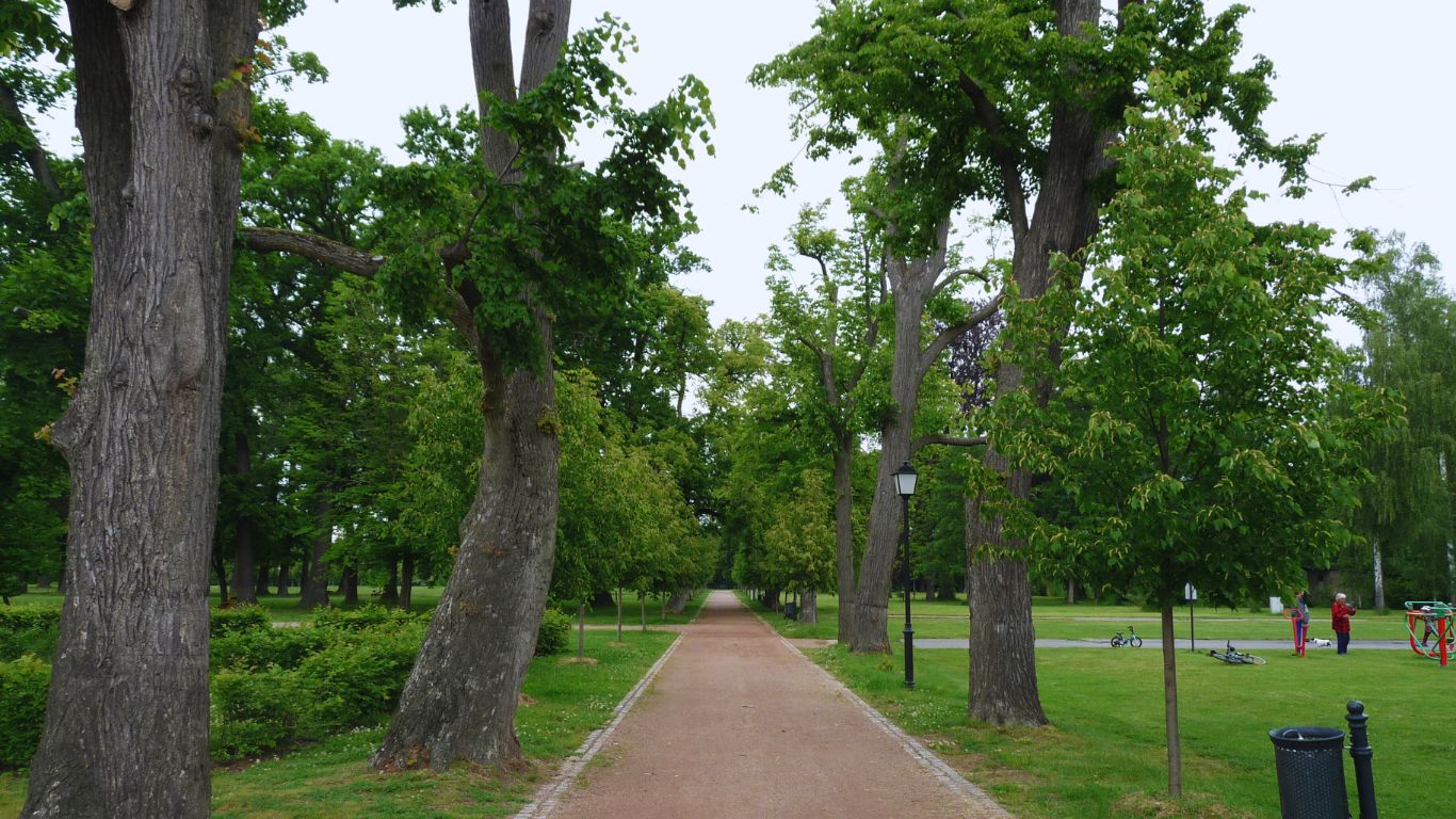 ZÁMECKÝ PARK ZDECHOVICE